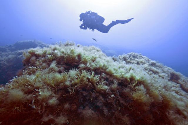 Jeudi, la Méditerranée est montée à 28,9°C